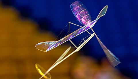 Flying skeletons: F1D model aircraft