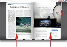 Page turners add interactivity and give you access to additional information.