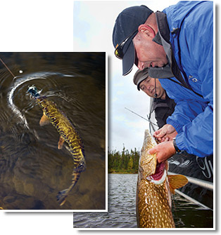 AOPA Senior Editor Dave Hirschman lands a big one.