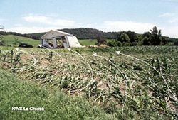 Photo showing tornado-like damage from convergence