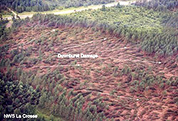 Aerial photo showing downburst damage.