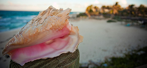 Affordable vacations are possible 