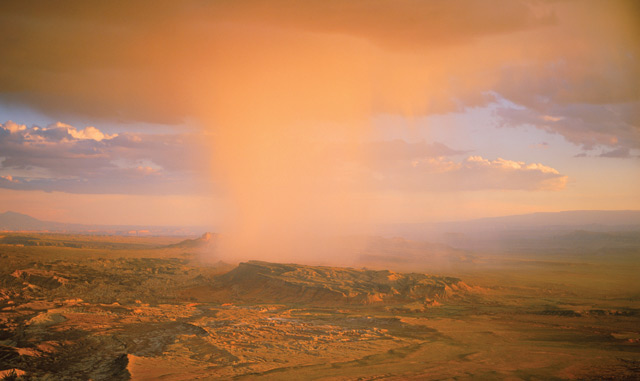 michael collier photo