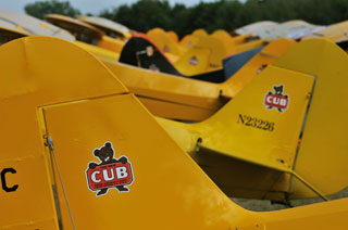 cubs 2 oshkosh - tails