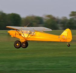 Cub landing