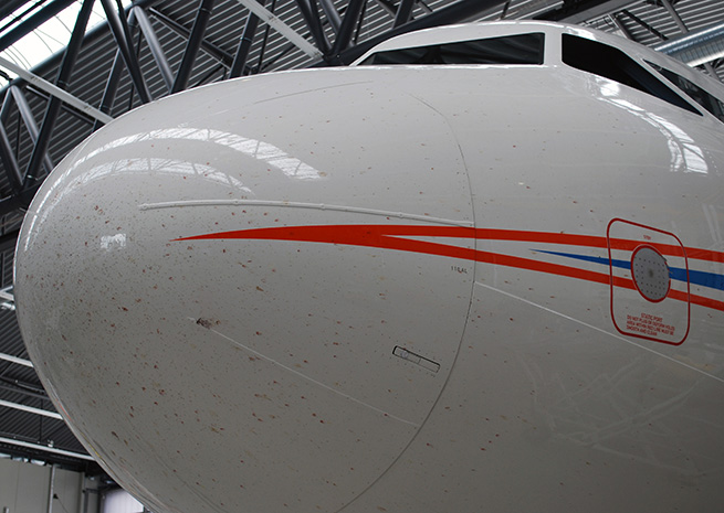 An Airbus A320 covered in bugs for science. Photo courtesy DLR