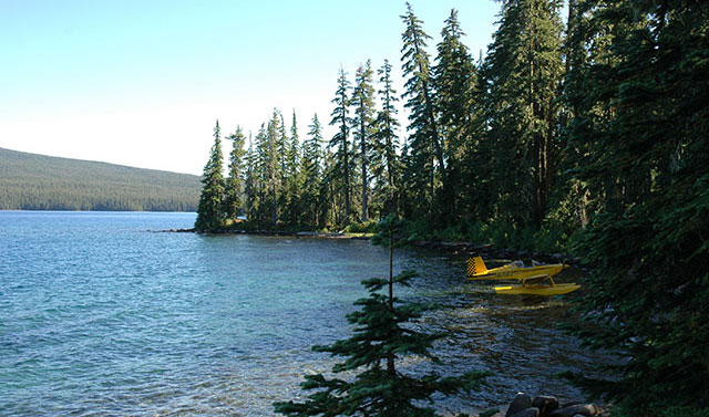 waldo lake