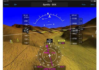 Garmin Pilot includes a synthetic vision display when it is paired with the GDL 39-3D.