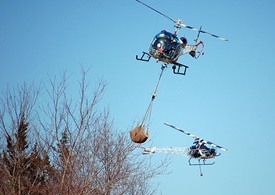 Bell 47s conduct lift operations supporting cranberry growers. Photo courtesy of Ryan Rotors. http://www.ryanrotors.com