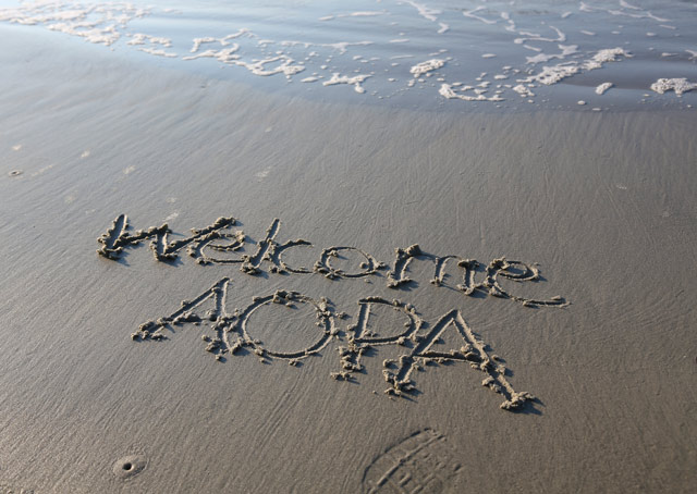 Visit the beach in November? You can during AOPA's St. Simons Fly-In Nov. 8.