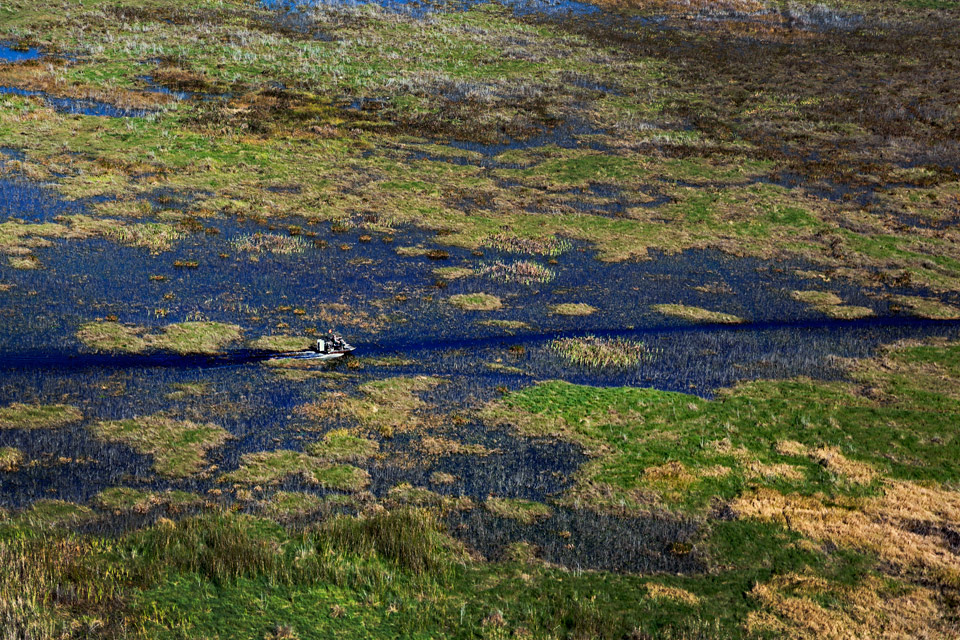 Everglades