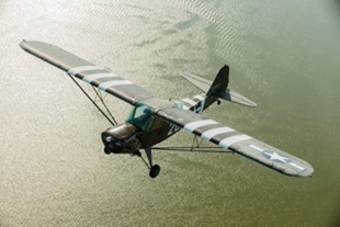 WWII Liaison Aircraft, L-Bird