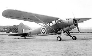 WWII Liaison Aircraft, L-Bird