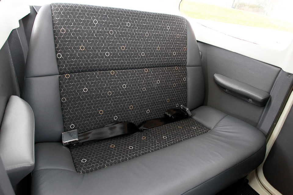 Reborn In The U S A Aopa