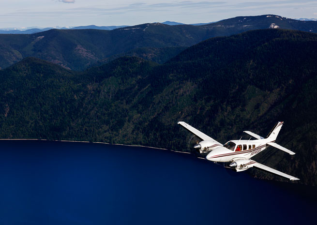 cougar baron