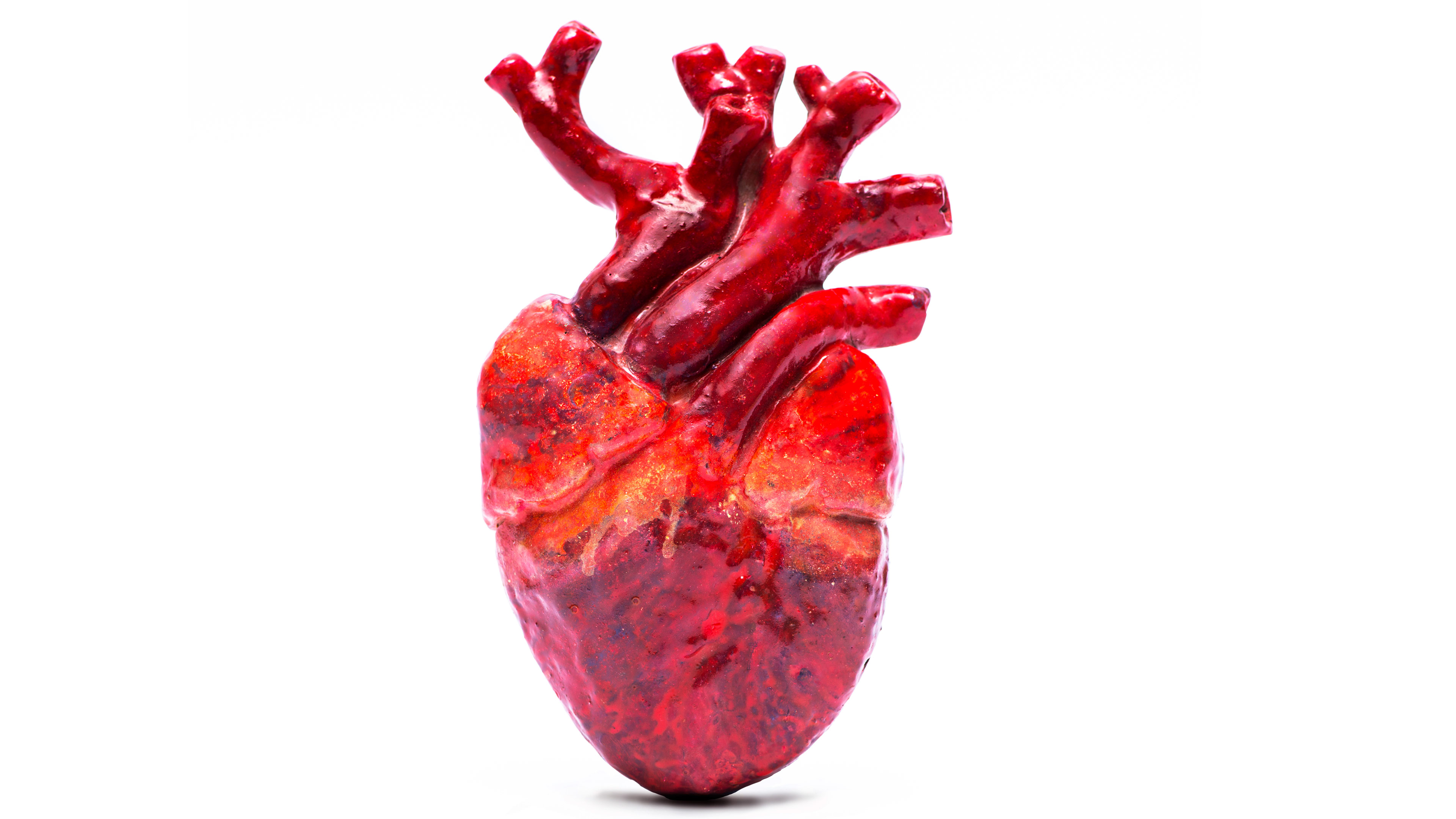 Cardiomyopathy - AOPA