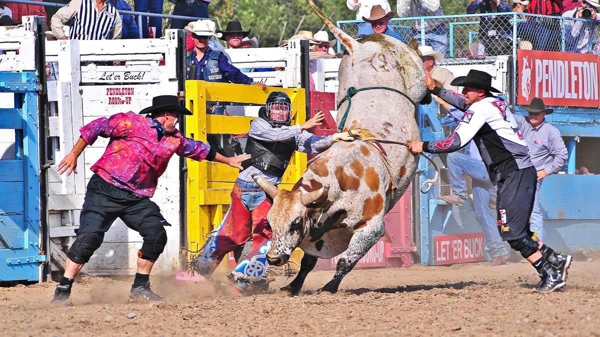 'Let ‘Er Buck!' - AOPA