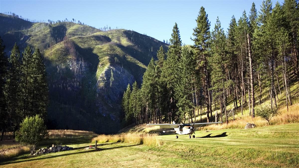 AOPA