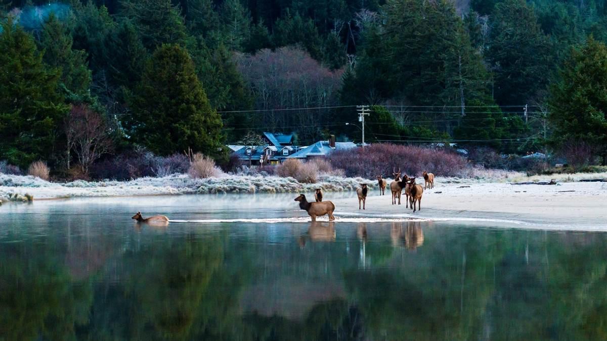 Artsy Hideaway Along A Beautiful Coastline Aopa