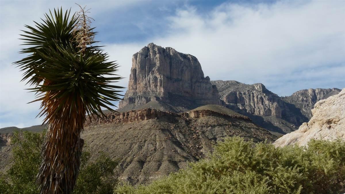 To The Batcave Aopa - 