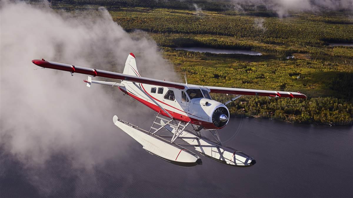 Image result for Mountain Air DHC-2 Beaver