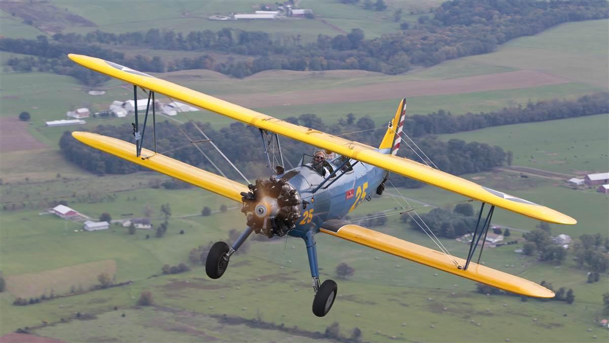 Budget Buy The Genuine Article Aopa