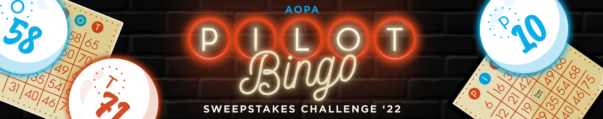 Pilot Bingo Challenge | AOPA Pilot Passport Badges & Challenges